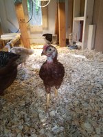 20180511_173455.jpg