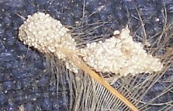 24037_cimg0034_1.jpg 24037_cimg0034_1.jpg