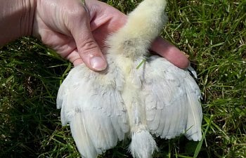 2011-05-30_15-04-27_590.jpg