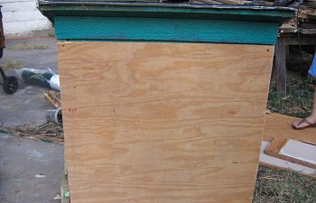 IMG_5505.jpg IMG_5505.jpg