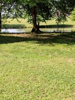 MVIMG_20180512_095433.jpg