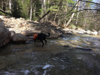 180512_034455_1.jpeg