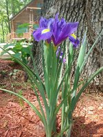 20180510_140458.jpg