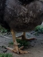 20180512_174516.jpg