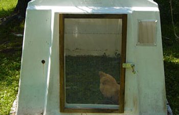 doorandwindow.jpg doorandwindow.jpg