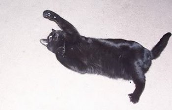 TriPod.jpg TriPod.jpg