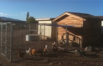 Chicken Housing