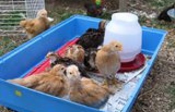 th_IMG_24092.jpg th_IMG_24092.jpg