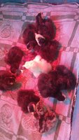 20180511_184143.jpg