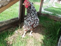 20180513_170851.jpg