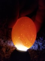 20180514_104643.jpg
