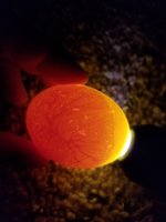 20180514_104452.jpg