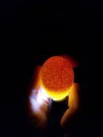 20180514_104416.jpg
