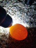 20180514_104324.jpg