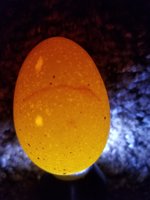 20180514_104140.jpg