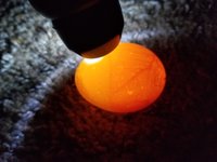 20180514_112113.jpg