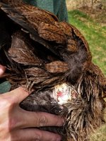 20180514_132615.jpg