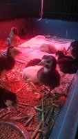 20180514_155358.jpg