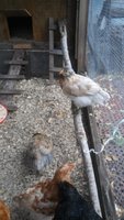 20180512_182136.jpg