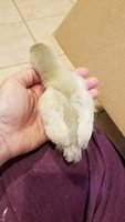 20180509_193120.jpg