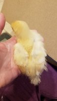 20180509_192624.jpg