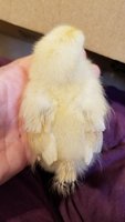 20180509_192731.jpg