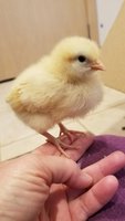 20180509_192717.jpg
