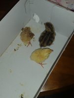 20180515_110037.jpg