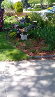 IMG_20180515_132613.jpg