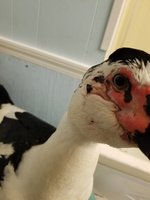 20180516_022408.jpg 20180516_022408.jpg