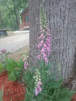20180515_154933.jpg