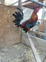 20180516_064613.jpg