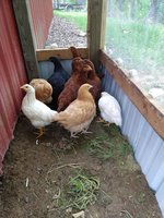 IMG_20180503_181442693.jpg
