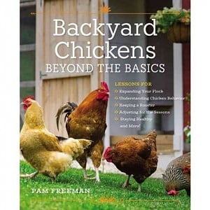 Backyard Chickens Beyond the Basics