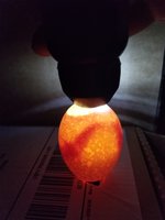 20180516_113220.jpg
