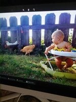 20180517_075959.jpg