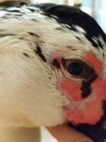 20180517_121158.jpg