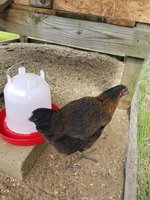 20180517_163144.jpg