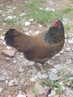 20180517_180558.jpg