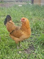 20180517_180518.jpg