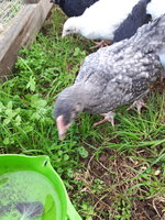 20180518_104727.jpg