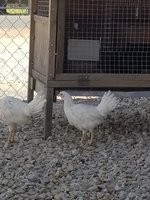 20180518_104829.jpg