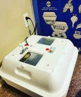 20180518_130357.jpg