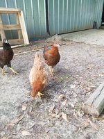 20180518_174455.jpg