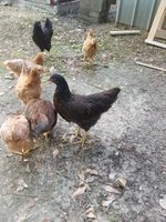 20180518_174518.jpg