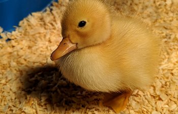 MVIMG_20180404_110506.jpg