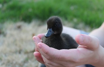 7B8F990B-D40E-4EC5-8E82-8D76FED35562.jpeg.jpg