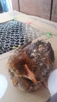 20180519_125300.jpg