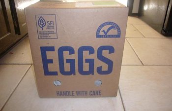 deerandeggs2009050.jpg deerandeggs2009050.jpg