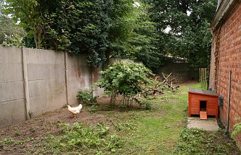 IMG_2519-border.jpg